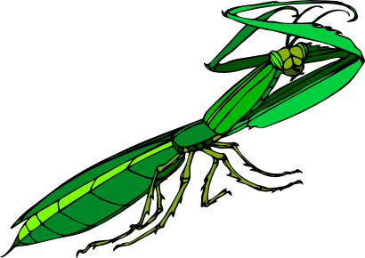 Download free green animal insect icon